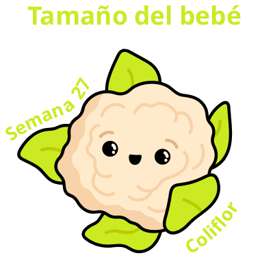 Tamaño del bebé Semana 27