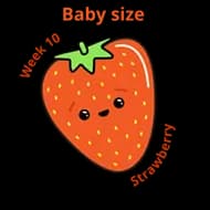 Baby size at 10 weeks strawberry