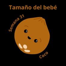 Tamaño del bebé a las 31 semanas coco