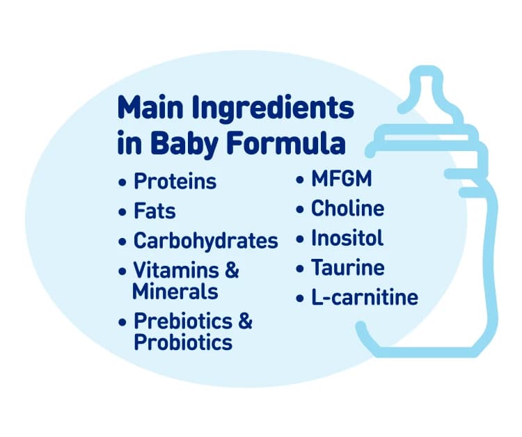 Main ingredients in formula infographic. Content of infographic is explained in detail under the heading What Are the Main Ingredients in Baby Formula?